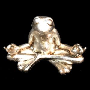 ESC. SAPO GURU - 4451