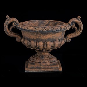 FRUTEIRA GÊNOVA - 4337